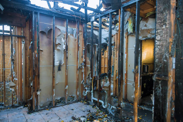 Professional Fire Damage Removal technician working in Big Lake, WA