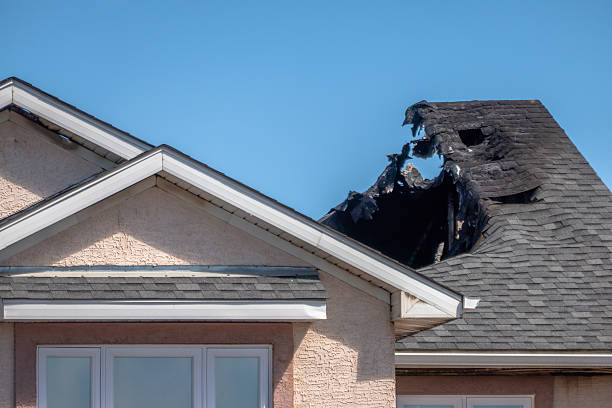Top rated local Fire Damage Removal specialists in Big Lake, WA